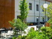 Jaukios biuro patalpos pačiame Vilniaus - nuotraukos Nr. 13