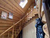 Parduodama sodyba susidedanti iš trijų - nuotraukos Nr. 14