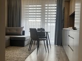 Išnuomojamas jaukus ir stilingas 1 kambario - nuotraukos Nr. 8