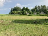 Parduodama rąstinė vieno aukšto sodyba su - nuotraukos Nr. 10
