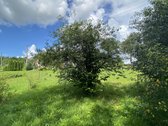 Parduodamas medinis, apšiltintas namas su 56 - nuotraukos Nr. 23
