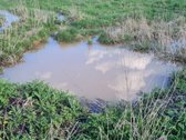 Parduodamas ūkininko sodybos žemės sklypas - nuotraukos Nr. 11