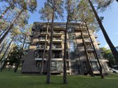  Namai šalia Nemuno, apsupti gamtos ramybės, - nuotraukos Nr. 6