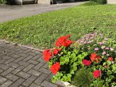 Ieškote Išskirtinės Vietos Savo Verslui - nuotraukos Nr. 5