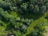 Anykščių rajone, prie pat Kavarsko išskirtinė - nuotraukos Nr. 24