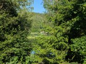 Verkių regioniniame parke, šalia upelio ir - nuotraukos Nr. 7