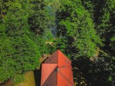 Verkių regioniniame parke, šalia upelio ir - nuotraukos Nr. 12