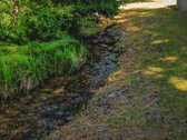 Verkių regioniniame parke, šalia upelio ir - nuotraukos Nr. 19