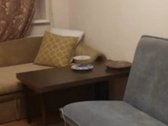 Nuomoju vieno kambario butą Rukloje, su - nuotraukos Nr. 13