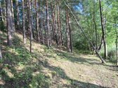 Sodybviete 1,60 ha su 200m smeletos ežero - nuotraukos Nr. 37