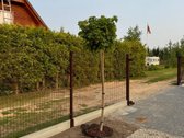 Parduodas sklypas su moduliniu namu – - nuotraukos Nr. 4