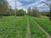 Vaizdingoje Vietoje, Šalia Raseinių - nuotraukos Nr. 5