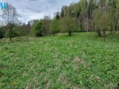 Vaizdingoje Vietoje, Šalia Raseinių - nuotraukos Nr. 11