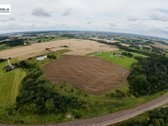 Parduodamas 8,2 ha žemės sklypas Garliavos - nuotraukos Nr. 5