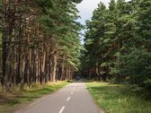 Ritmai – Pajūrio Projektas Gyvenimui Ir - nuotraukos Nr. 31