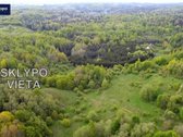 Parduodamas 9,86 ha sklypas prie Velnio - nuotraukos Nr. 8