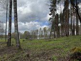 Privalumai: - nuotraukos Nr. 3
