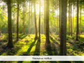 Parduodamas Unikalus Objektas Šeimos - nuotraukos Nr. 21