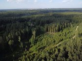 Parduodamas 9.8287 ha miško sklypas Kauno r. - nuotraukos Nr. 5