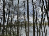 Privalumai: - nuotraukos Nr. 5