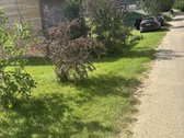 Parduodamas 7,5 aro ploto sodo sklypas - nuotraukos Nr. 2