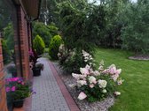 Parduodamas išpuoselėtas, mylimas sau - nuotraukos Nr. 2