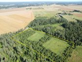 Parduodamas miškų ūkio paskirties sklypas - nuotraukos Nr. 2