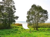 Išskirtinė galimybė – pastatas su 0,32 ha - nuotraukos Nr. 27