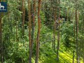 Parduodamas Unikalus Sklypas Antakalnyje Su - nuotraukos Nr. 5