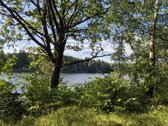 Parduodamas Sklypas Prie Plikių Tvenkinio, - nuotraukos Nr. 3
