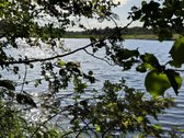 Parduodamas Sklypas Prie Plikių Tvenkinio, - nuotraukos Nr. 5
