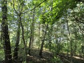 Parduodamas Sklypas Prie Plikių Tvenkinio, - nuotraukos Nr. 10