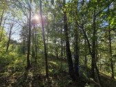 Parduodamas Sklypas Prie Plikių Tvenkinio, - nuotraukos Nr. 13