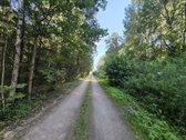 Parduodamas Sklypas Prie Plikių Tvenkinio, - nuotraukos Nr. 15