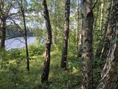 Parduodamas Sklypas Prie Plikių Tvenkinio, - nuotraukos Nr. 11