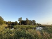 Parduodamas 1.2099 ha buvusi sena sodyba - nuotraukos Nr. 4