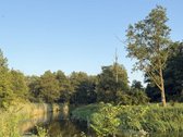 Parduodamas 1.2099 ha buvusi sena sodyba - nuotraukos Nr. 5