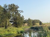 Parduodamas 1.2099 ha buvusi sena sodyba - nuotraukos Nr. 3