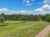 Nuostabioje Vietoje, Pušų Apsuptyje Su - nuotraukos Nr. 18
