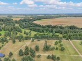 Nuostabioje Vietoje, Pušų Apsuptyje Su - nuotraukos Nr. 4