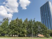 Nuo lapkričio 1D. iki gegužės 31d. nuomojamas - nuotraukos Nr. 10