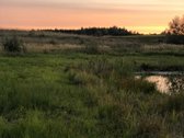Visiškai šalia Molėtų miesto (atstumas tik 1 - nuotraukos Nr. 4