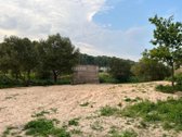 Išskirtinis sklypas prie Dubysos - nuotraukos Nr. 10