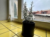 Išnuomojamas puikiai irengtas studio tipo - nuotraukos Nr. 6