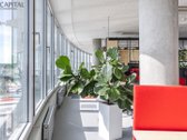 Nuomojamos Premium Biuro Patalpos "Green Hall - nuotraukos Nr. 17