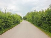 Jadagonių km. Ilgoji g. 14 - nuotraukos Nr. 7