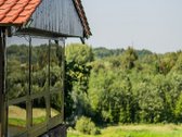 Vienintelė Tokia šimtmečiais gamtos kurta ir - nuotraukos Nr. 16