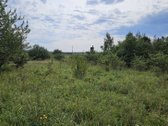 Vilniaus rajone Pabražuolės kaime parduodamas - nuotraukos Nr. 13