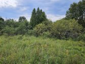Vilniaus rajone Pabražuolės kaime parduodamas - nuotraukos Nr. 14