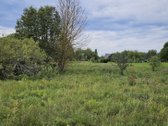 Vilniaus rajone Pabražuolės kaime parduodamas - nuotraukos Nr. 15